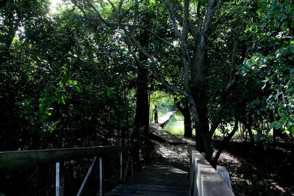賓館 Eco Pousada Sinimbu